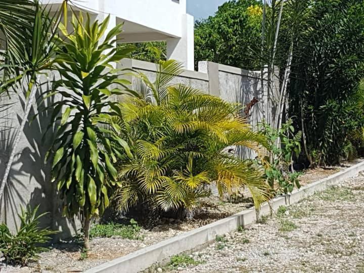 Ancella'S Garden Apartment-Beach-5Min Drive, 1 Hr Montego Bay, 25 Mins Ocho Rios, Continental Breakfast Runaway Bay Exterior photo